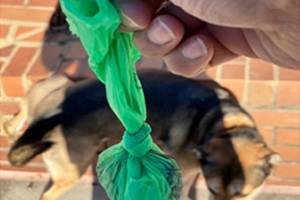 doggy poo bags