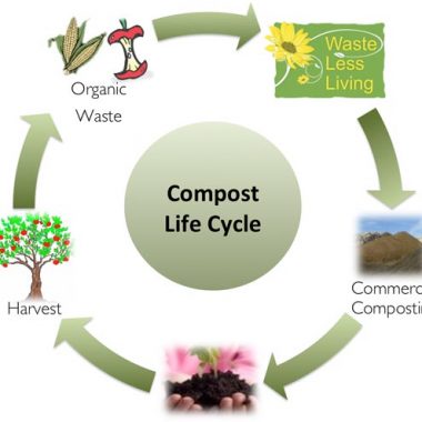 Compost-Life-Cycles